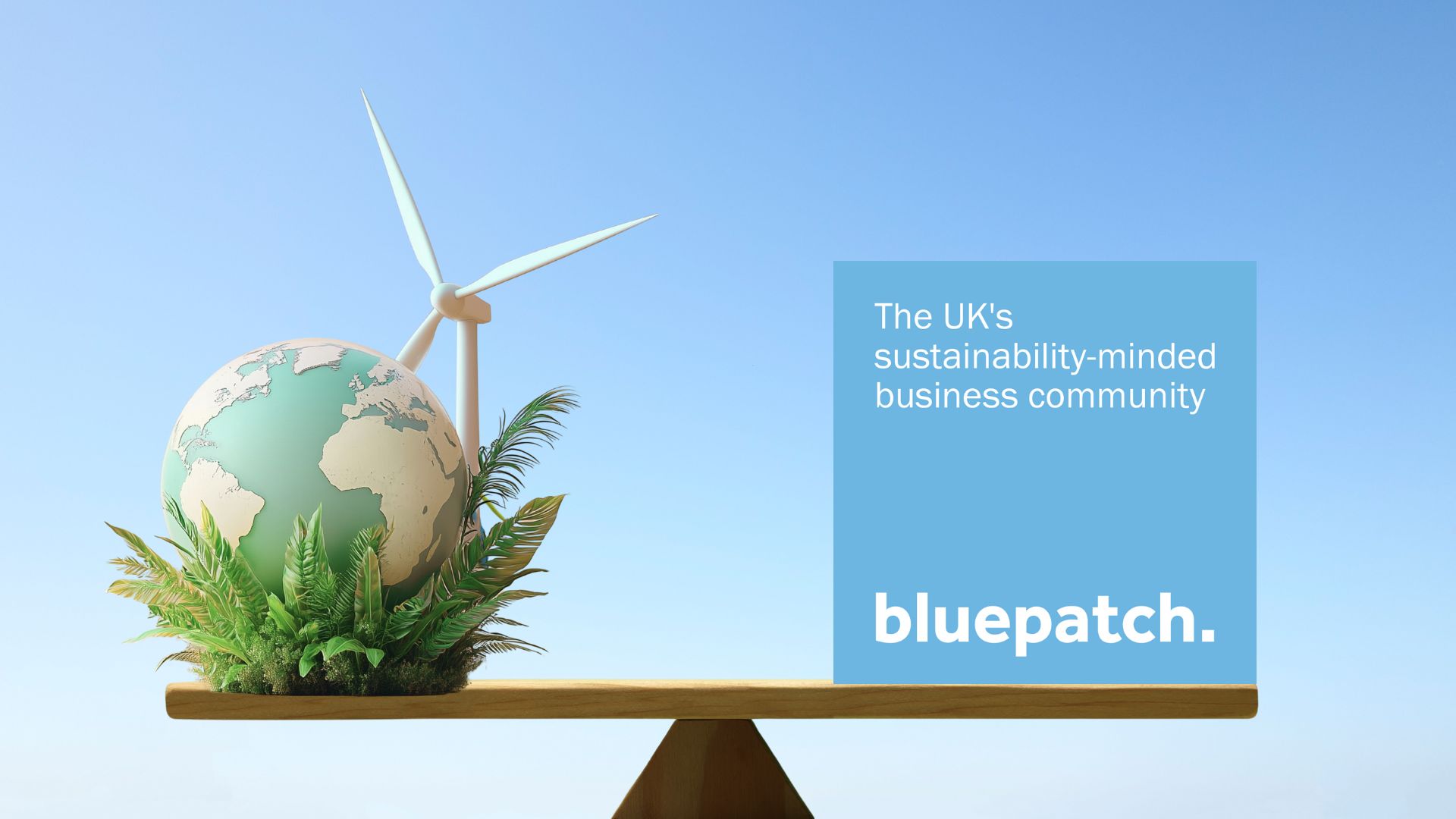 Blue Patch Learning: helping small businesses to develop their sustainability