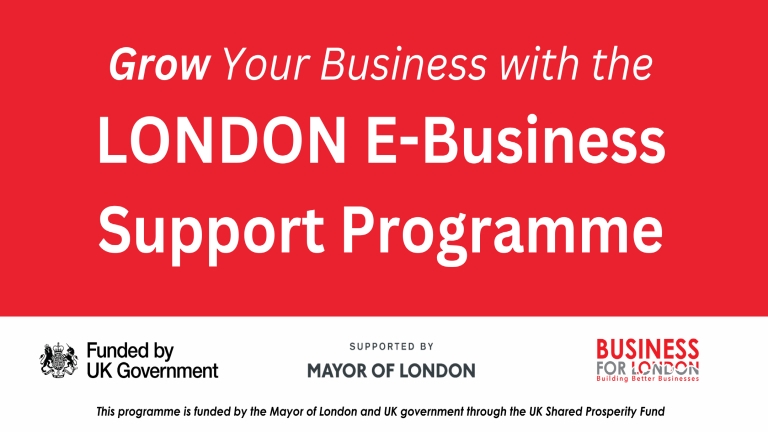 LONDON E-Business Support Programme (StartUp Croydon)