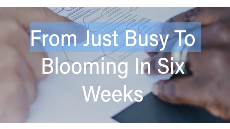 From Just Busy to Blooming: six-week coaching programme