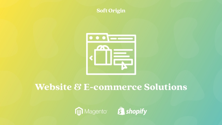 Professional website and ecommerce services for businesses