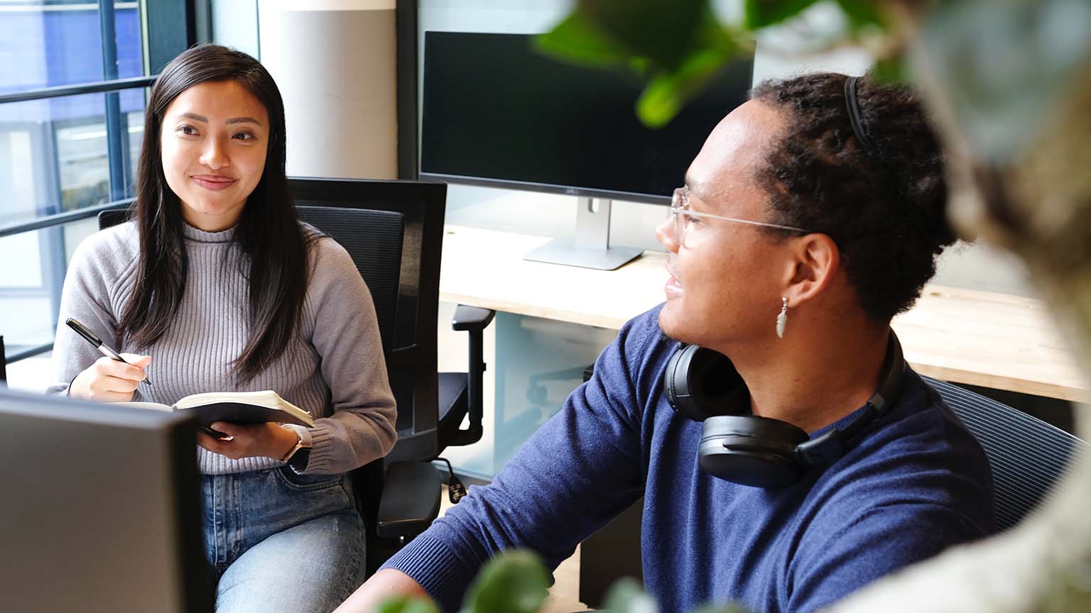 Peer Networks programme