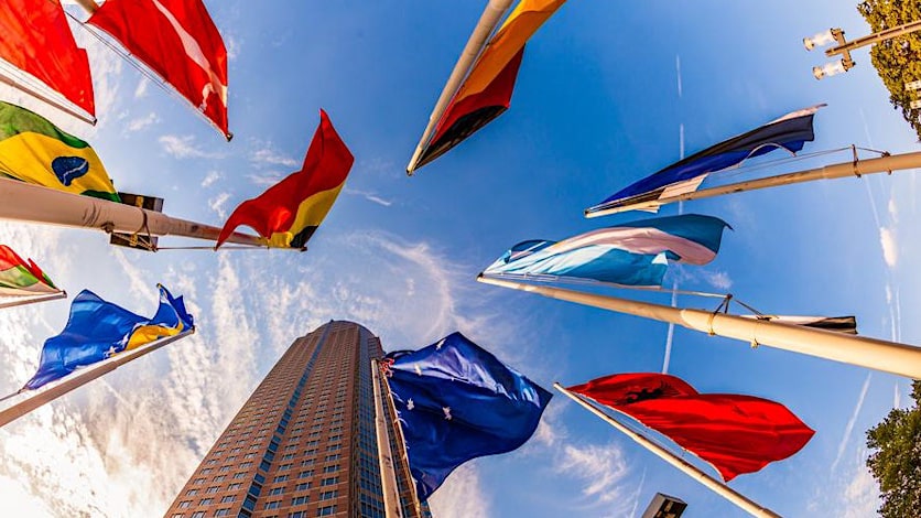 How to research import and export