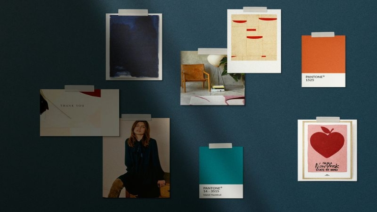 Brand, website + packaging design